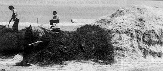 W2650t25.JPG (27932 bytes)