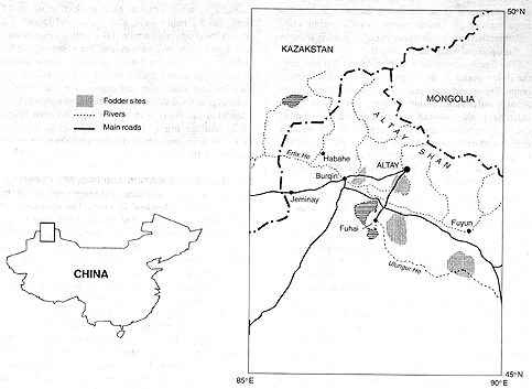 W2650t27.GIF (62764 bytes)