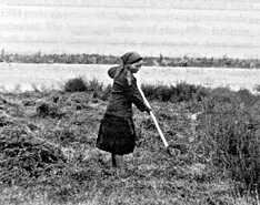 W2650t28.JPG (30032 bytes)