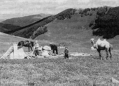 W2650t30.JPG (30799 bytes)