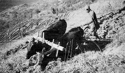 W2650t34.JPG (70615 bytes)