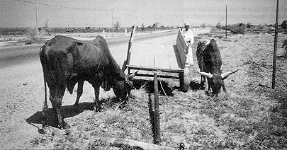 W2650t35.JPG (57178 bytes)