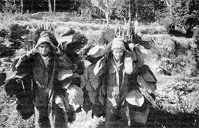 W2650t41.JPG (78231 bytes)