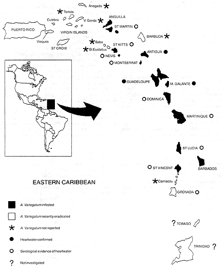 W2650t42.GIF (42912 bytes)