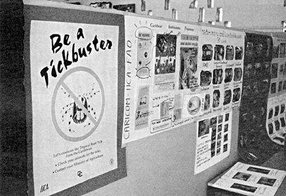 W2650t44.JPG (62666 bytes)