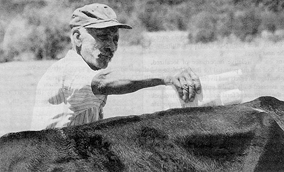 W2650t48.JPG (53155 bytes)