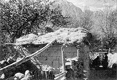 W2650t55.JPG (34660 bytes)