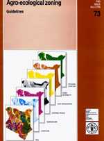 w2962e00.jpg (15436 bytes)