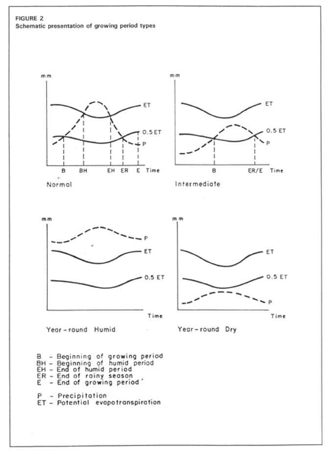 w2962e40.jpg (50272 bytes)