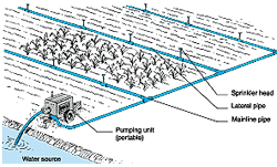 w3094e07.GIF (15872 bytes)