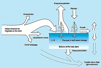 w3094e10.GIF (17694 bytes)