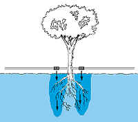 w3094e20.GIF (8670 bytes)