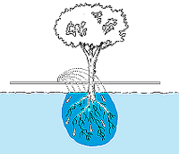 w3094e28.GIF (7883 bytes)