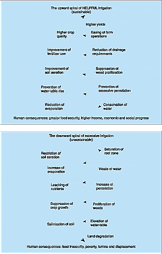 w3094e35.GIF (38086 bytes)