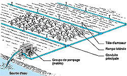 w3094f07.GIF (13801 bytes)