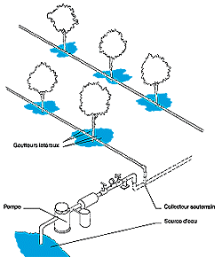 w3094f08.GIF (10000 bytes)