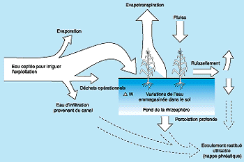 w3094f10.GIF (18694 bytes)