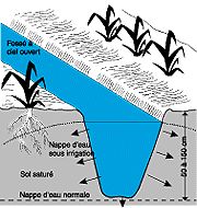 w3094f31.GIF (13640 bytes)