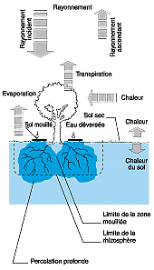 w3094f33.GIF (12194 bytes)