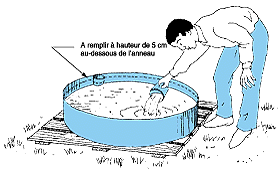 w3094f34.GIF (13061 bytes)