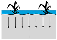 w3094e04.GIF (5552 bytes)