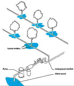 w3094e08.GIF (11139 bytes)