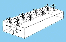 w3094e12.GIF (8670 bytes)