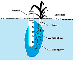 w3094e16.GIF (9992 bytes)