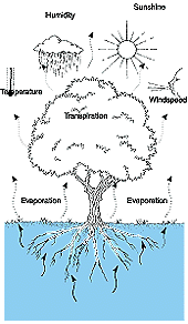 w3094e32.GIF (14135 bytes)