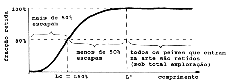 Fig. 4.5.3.1