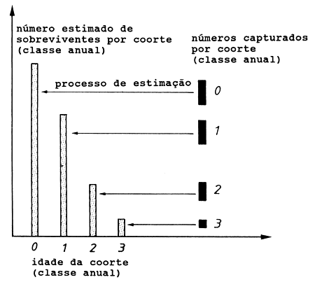 Fig. 5.1.1