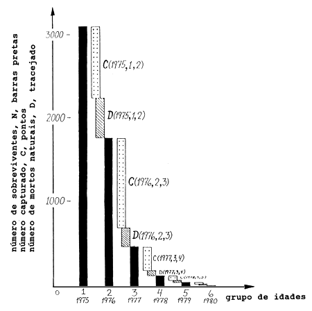 Fig. 5.1.2