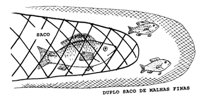 Fig. 6.1.1