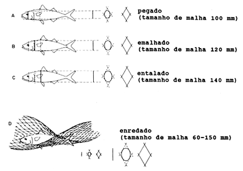Fig. 6.2.1.1