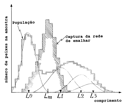 Fig. 6.2.2.3