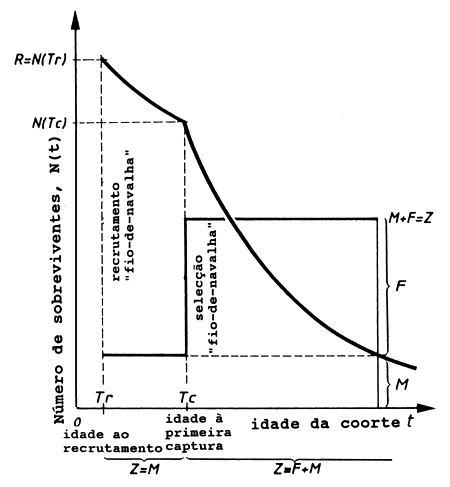 Fig. 8.1.1