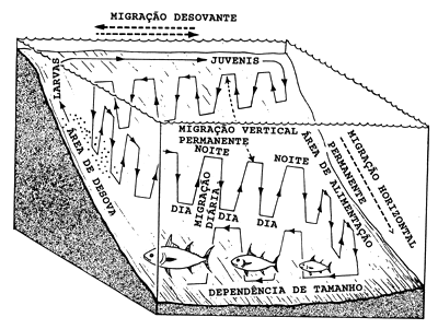 Fig. 11.1.1