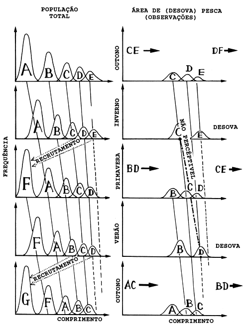 Fig. 11.2.3
