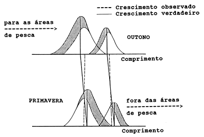Fig. 11.2.4