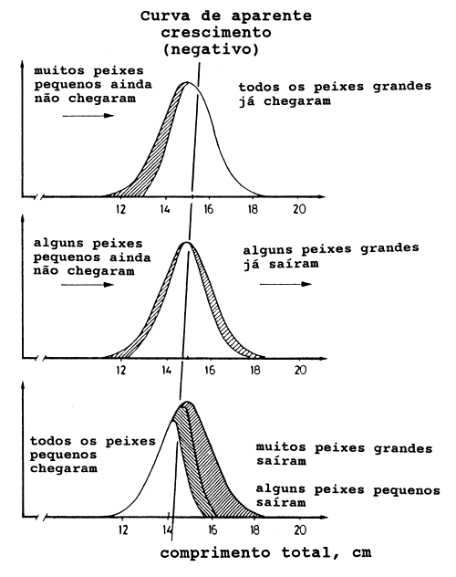 Fig. 11.2.5
