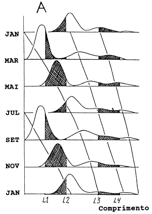 Fig. 11.4.2