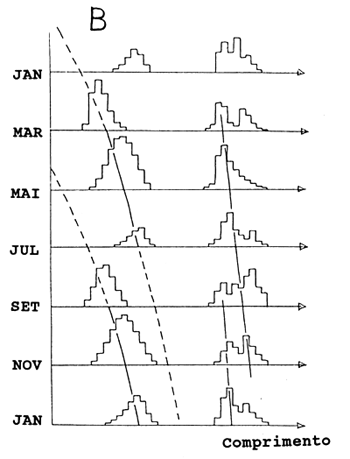 Fig. 11.4.3