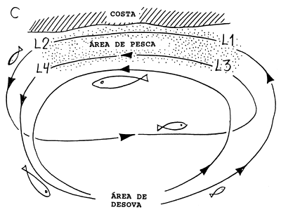 Fig.Fig.11.4.3