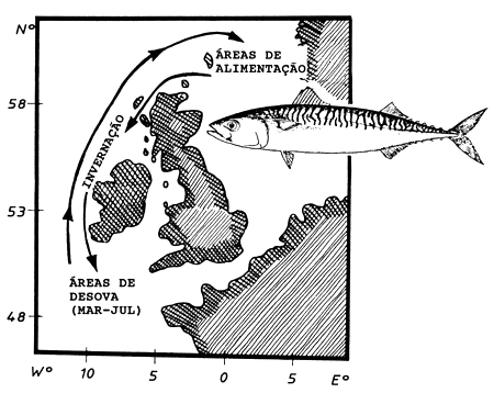 Fig. 11.6.1