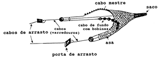 Fig. 13.1.1