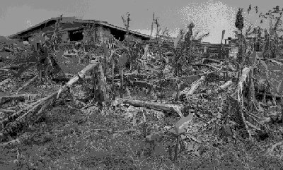 w6020e17.jpg (37080 bytes)