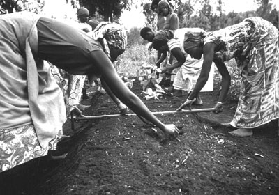 w6020e21.jpg (41217 bytes)