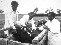 w6020f11.jpg (9666 bytes)