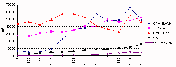 Figure 3.4.4. Trends in production of main cultured groups in Latin America and the Caribbean, excluding shrimps and salmons, 1995