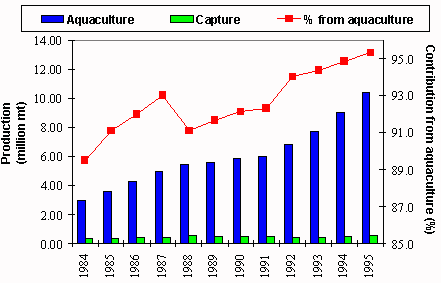 Figure 1.1.2.7 Global production of carps